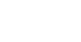 DIRETTORE   Tiziana Maffei  RESPONSABILE DEL PROCEDIMENTO   Martina Murzi SUPPORTO TECNICO SPECIALISTICO  Leonardo Ancona  RESPONSABILE DEL COORDINAMENTO TECNICO  Prof. Ing. Vincenzo Belgiorno